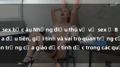 sex bắc âu Những điều thú vị về sex ở Bắc Âu: Sự mở cửa đầu tiên, giới tính và vai trò quan trọng của giáo dục tình dục trong các quốc gia này.